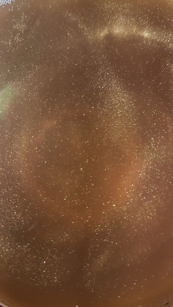 SECRET SUN